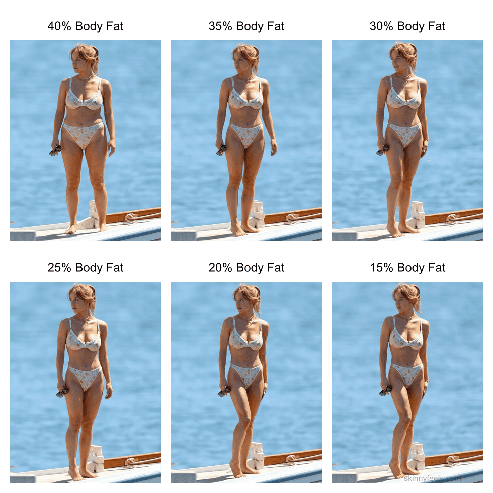 Female body composition chart example